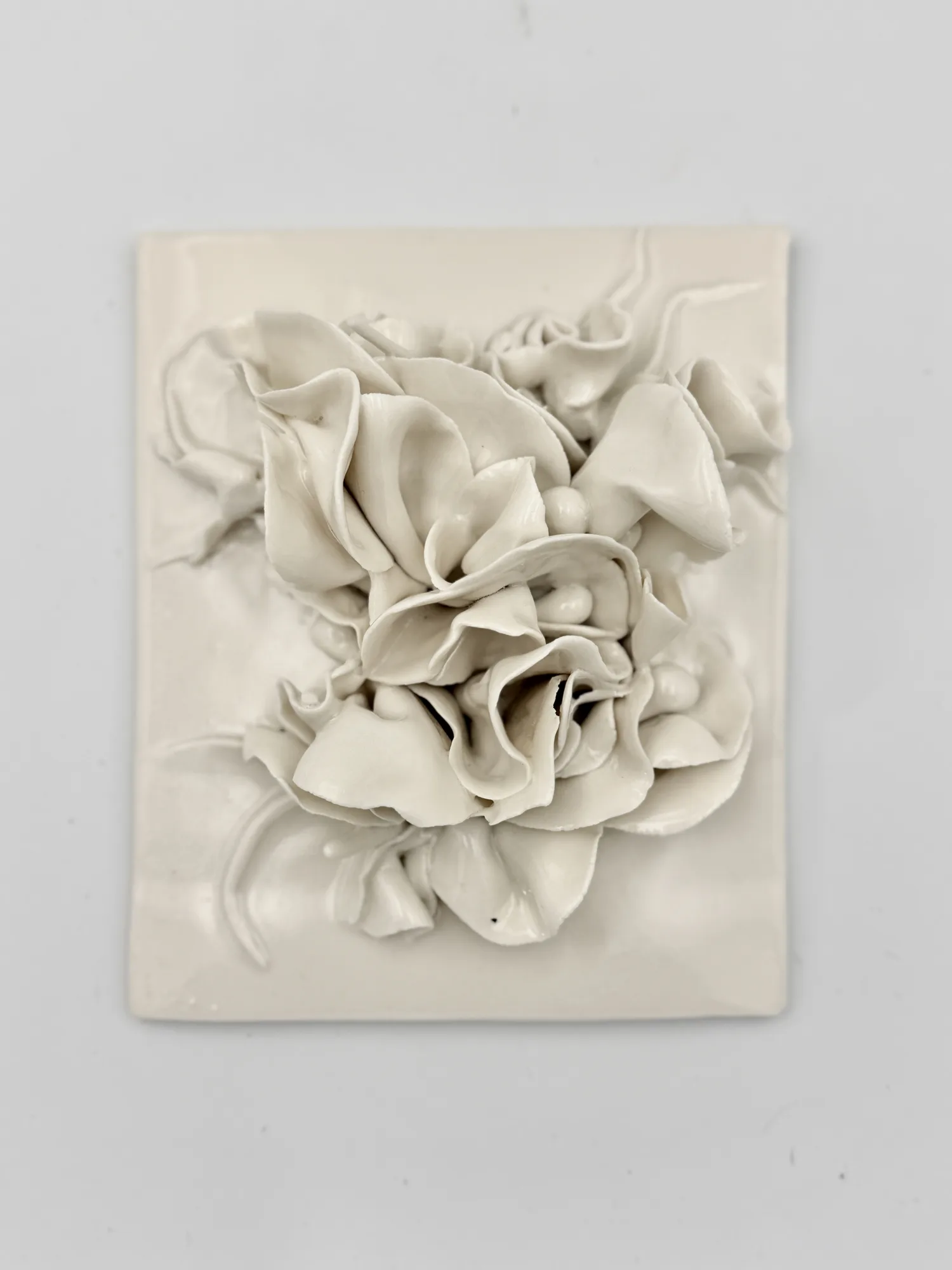 Installations collection