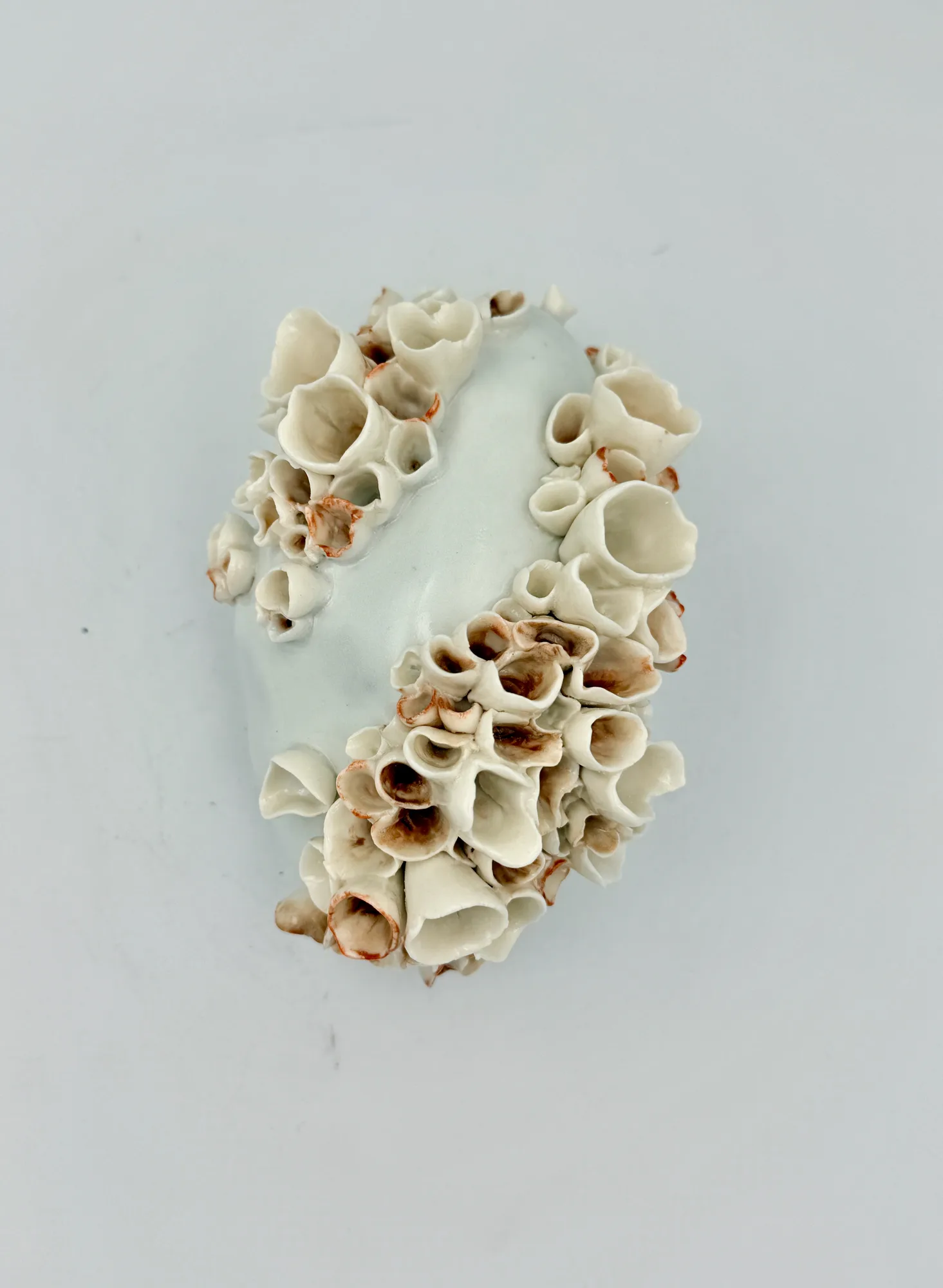 A wall piece of pale porcelain studded with coral-like clusters